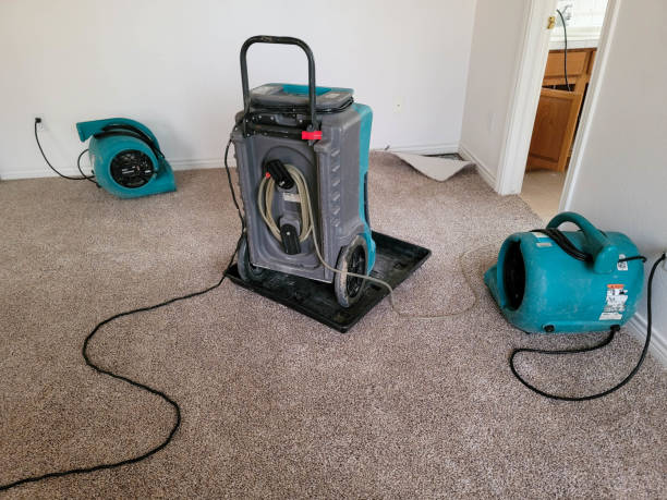 Best Commercial water damage restoration  in Newport, WA