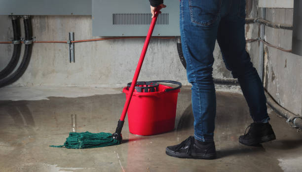 Best 24/7 water damage repair  in Newport, WA