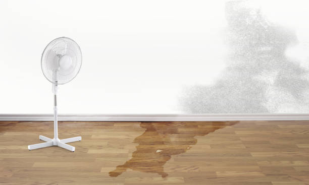Best Flood damage cleanup  in Newport, WA