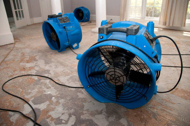 Best Water damage restoration near me  in Newport, WA