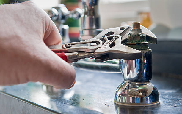Best Flood restoration services  in Newport, WA
