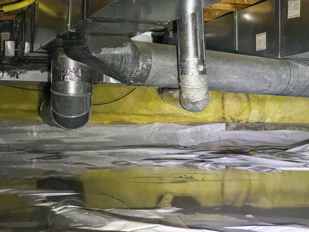 Best Water damage cleanup near me  in Newport, WA