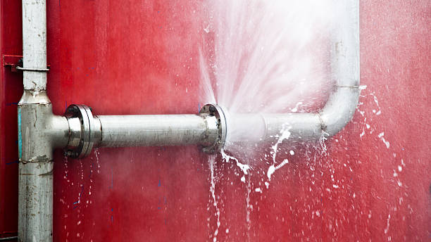 Best Residential water damage restoration  in Newport, WA